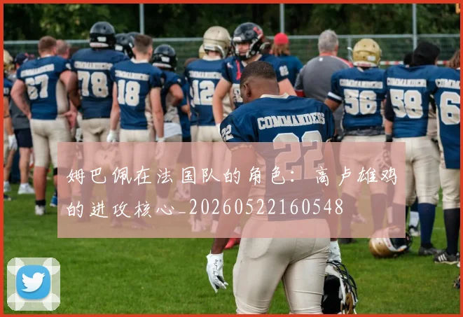 姆巴佩在法国队的角色:高卢雄鸡的进攻核心_20260522160548